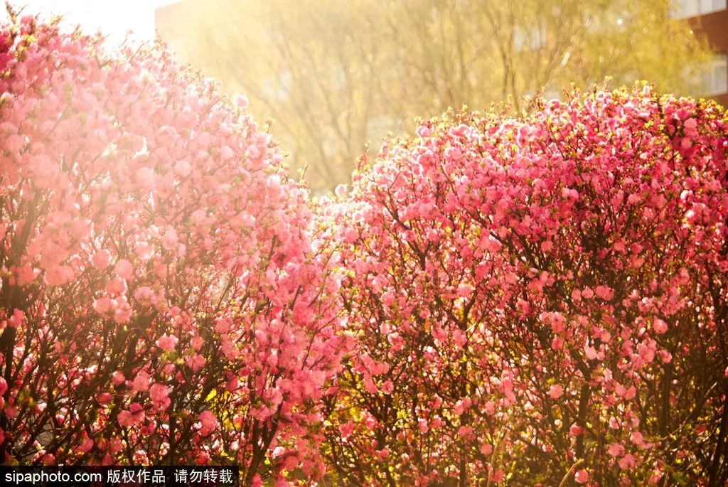 8个细节告诉你，身边的人谁最靠谱