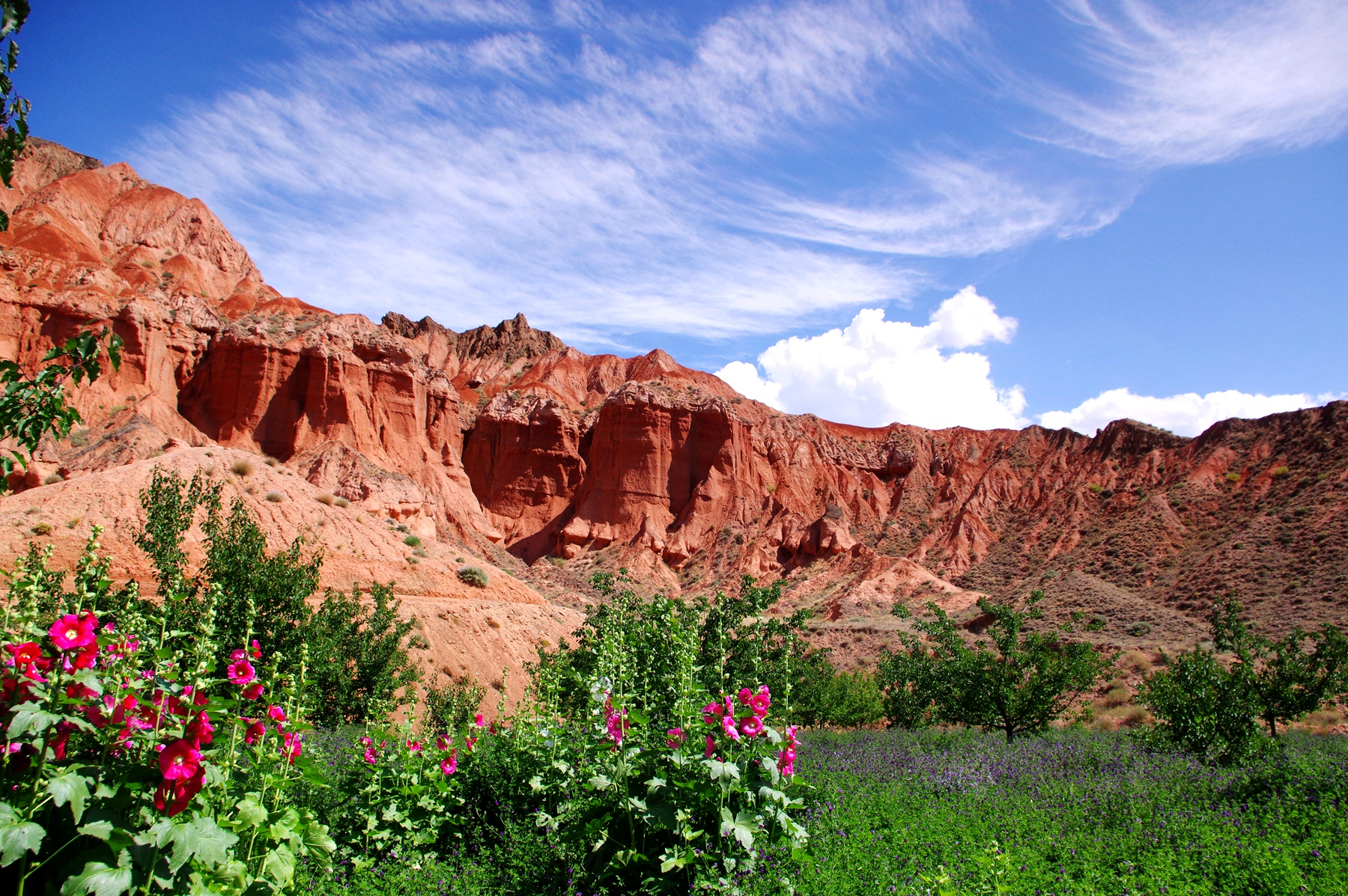 贵德国家地质公园,不一样的丹霞地貌