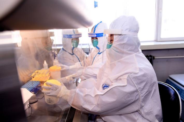 沈陽市衛生健康系統"人才建設年、科技創新年、基層提升年"建設成果之沈陽市疾病預防控制中心工作紀實