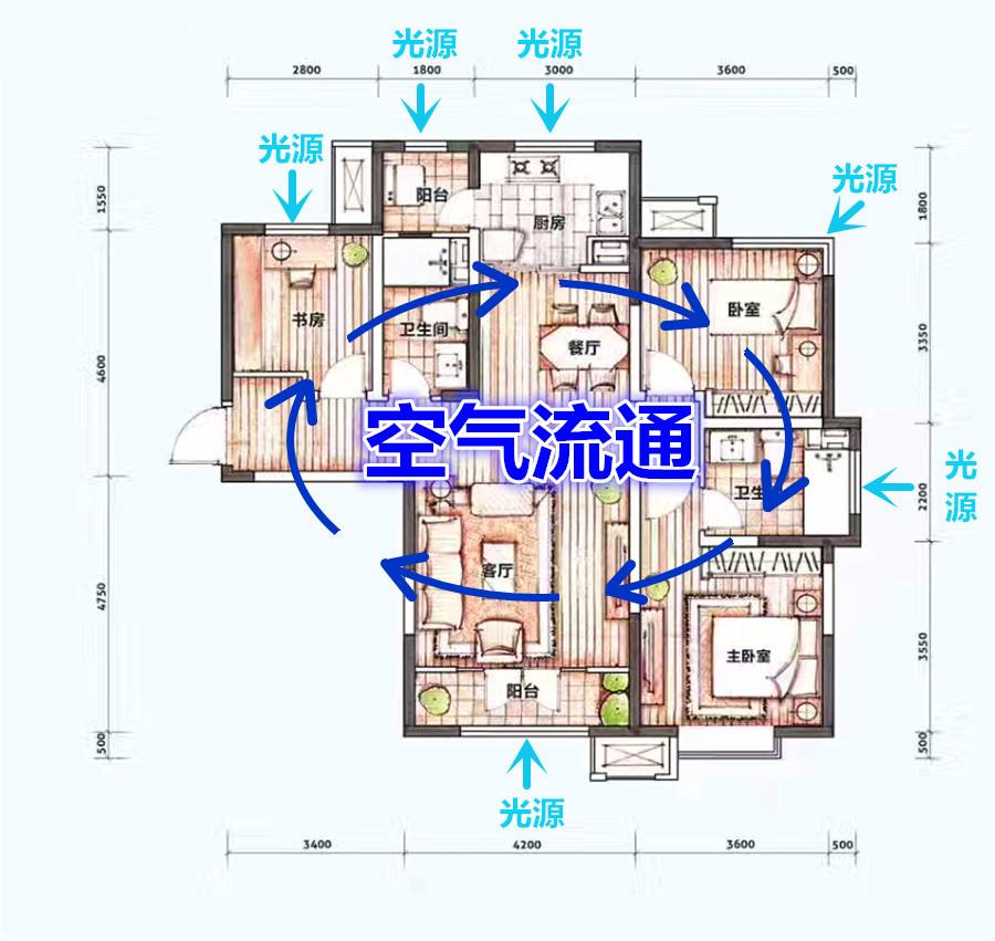 房屋空气对流设计图图片