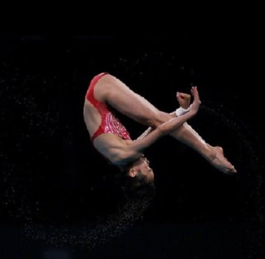 14岁全红婵破跳水记录夺金，3家公司来奖励，送房送商铺还送20万