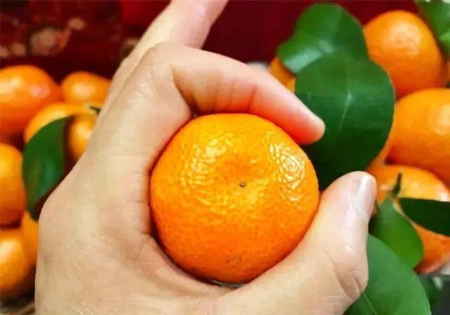 Eat off 180 thousand tons one year, price cutting sb in two at the waist still is disrelished expensive, 