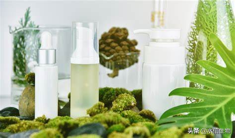 什么是角質？為什么要去角質？「水信生物」