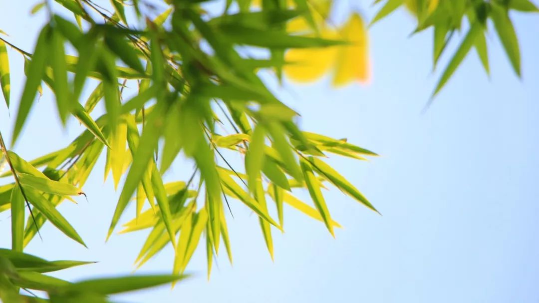 100首夏日诗词，送你清凉一夏-第2张图片-非凡网