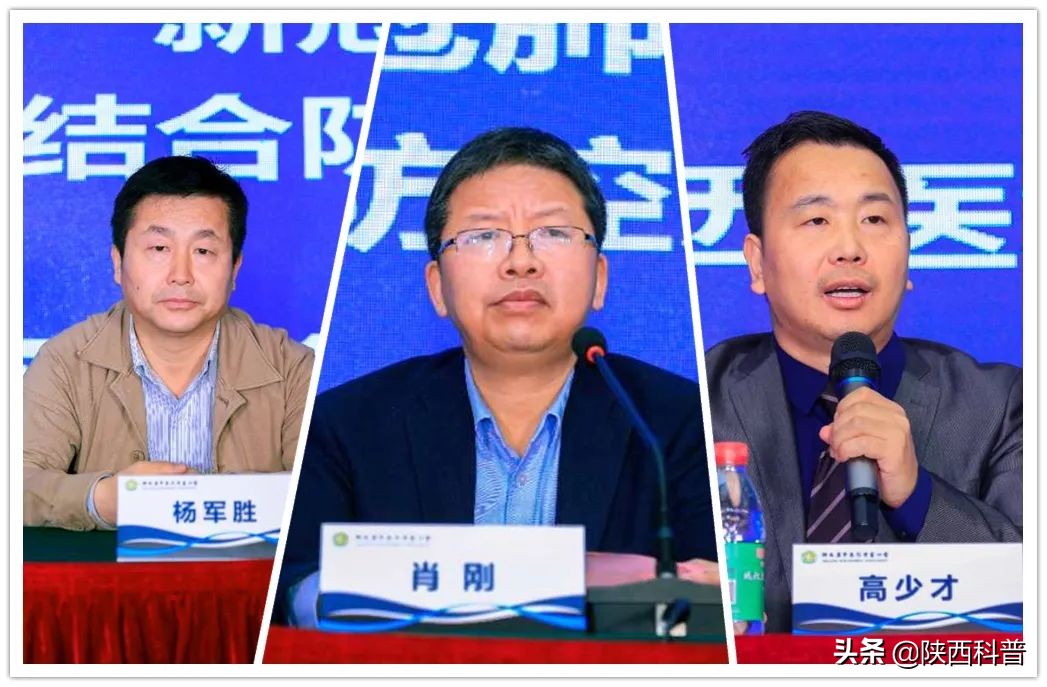 学术动态 | 陕西省中医药专家协会中西医结合防控新冠肺炎培训班成功举办