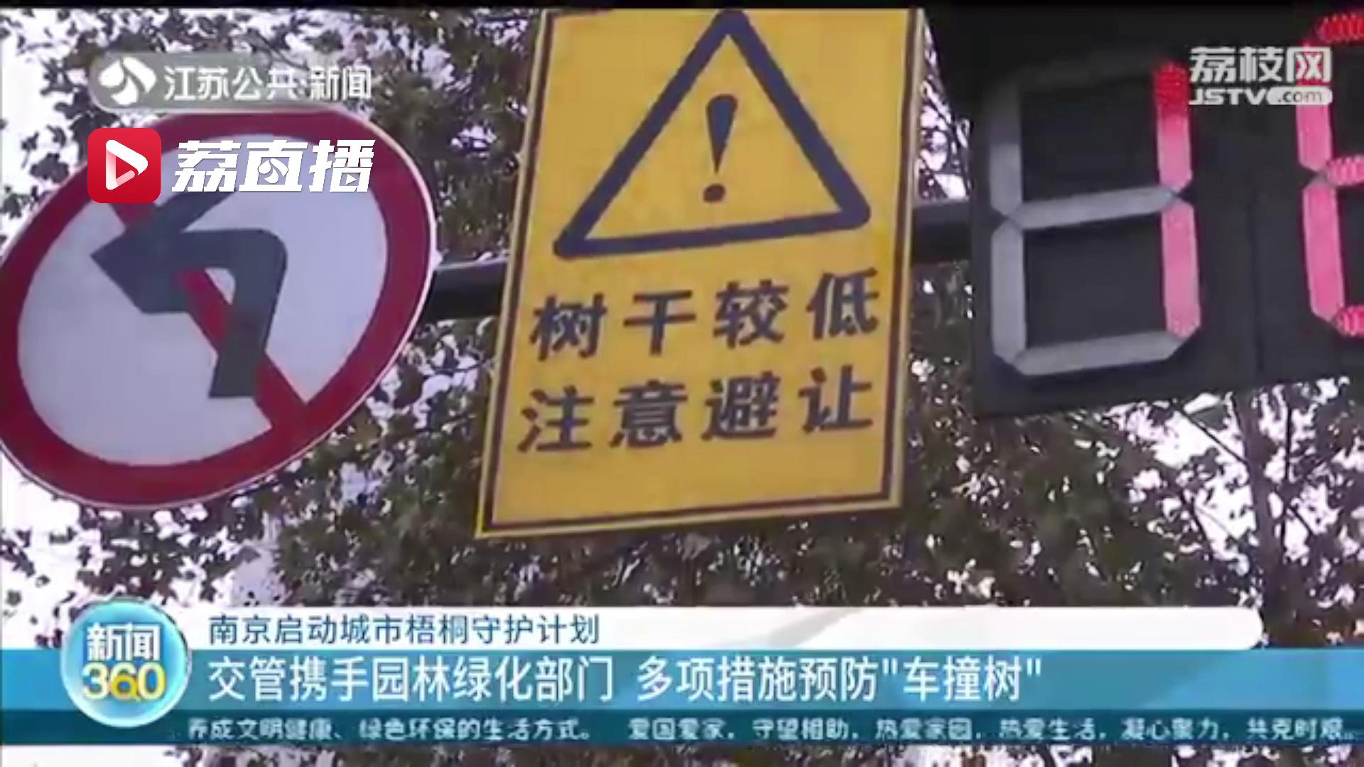 专门通道、反光彩绘、导航语音&hellip;城市梧桐守护计划保护南京的绿色风景线