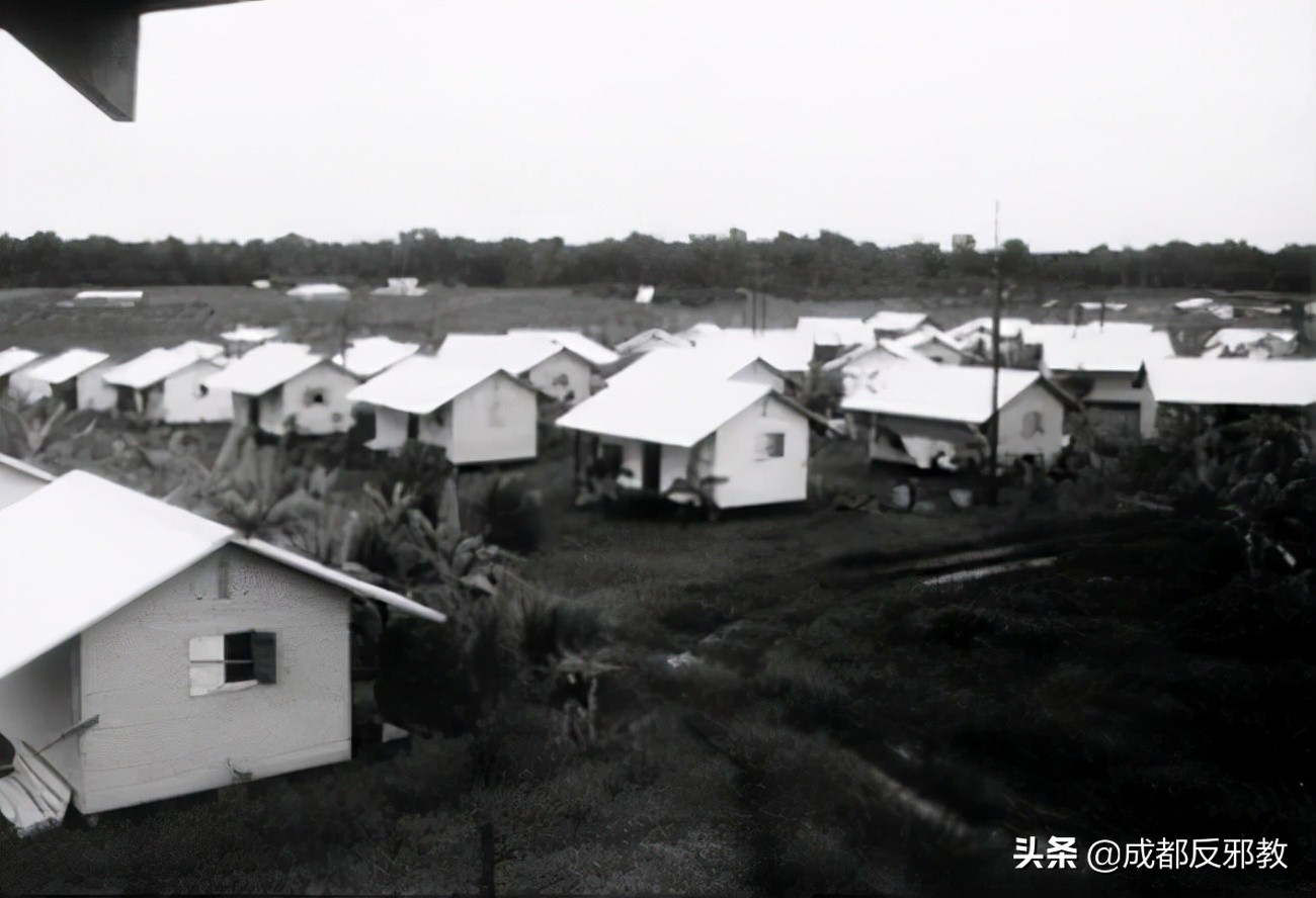 1978年，900多名美国人排队喝下毒药，是何原因让他们集体自杀？