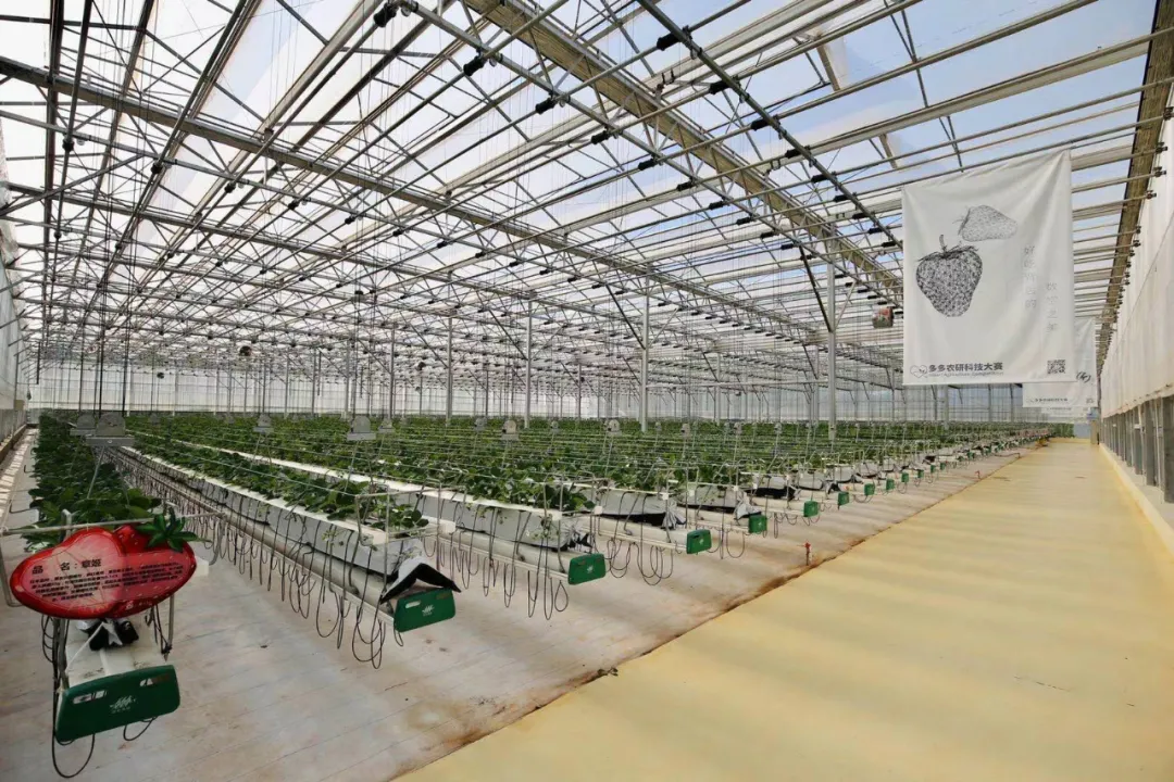 ��ῴ�ȥƴ��ත�³�����������й���ҵ�ҵ��ǳ��󺣣�