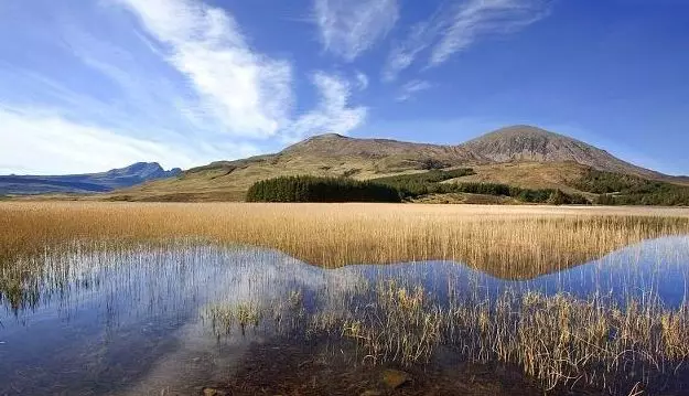 为你而写的唯美句子：带着一颗童心前行的人，才能时刻感受到幸福
