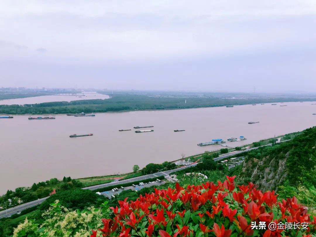 钟南山视频致辞！南京“网红区”再迎国家级大会