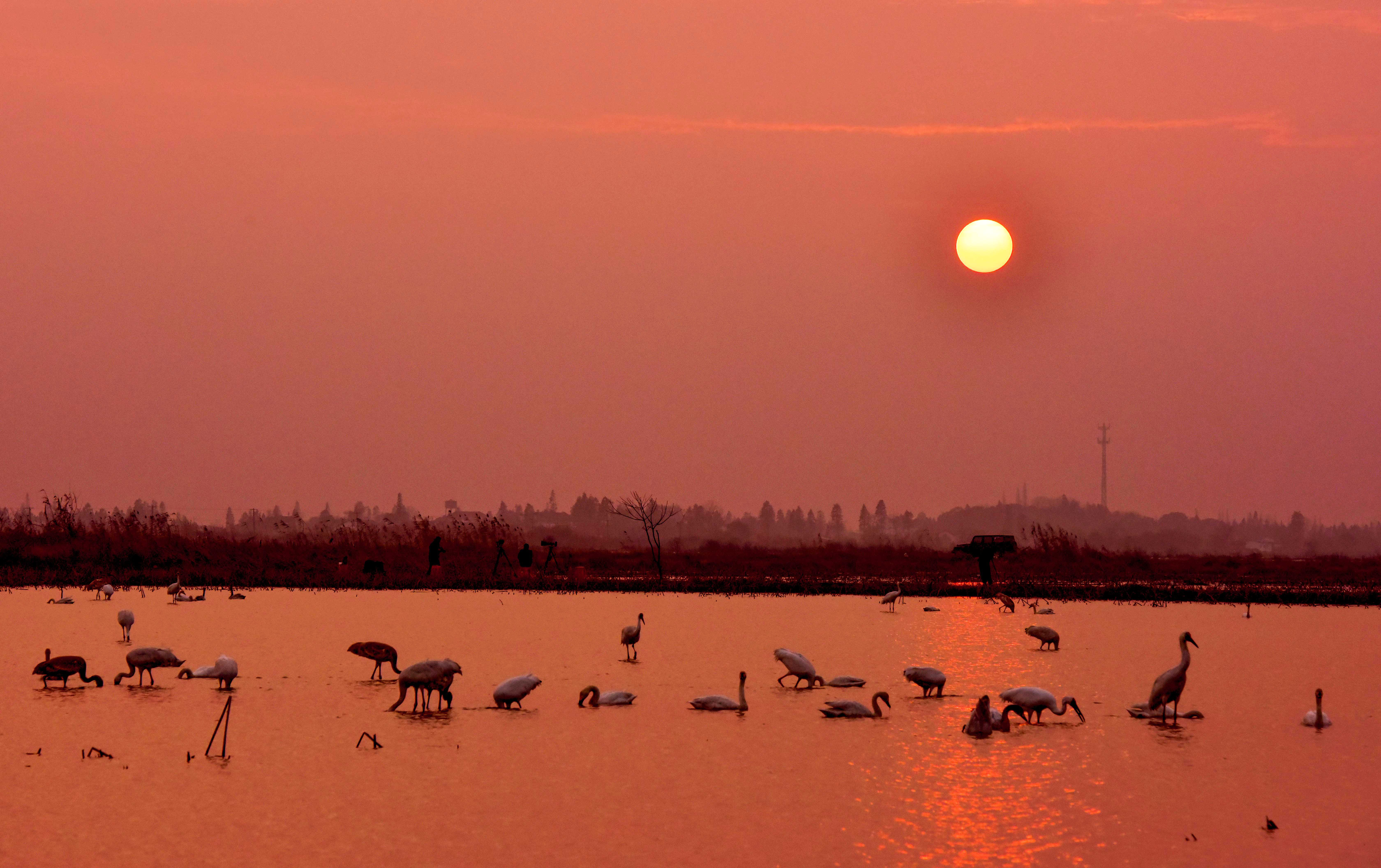 鄱阳湖年平均淤积量远小于湖南洞庭湖,1967年时,湖泊面积3960平方公里