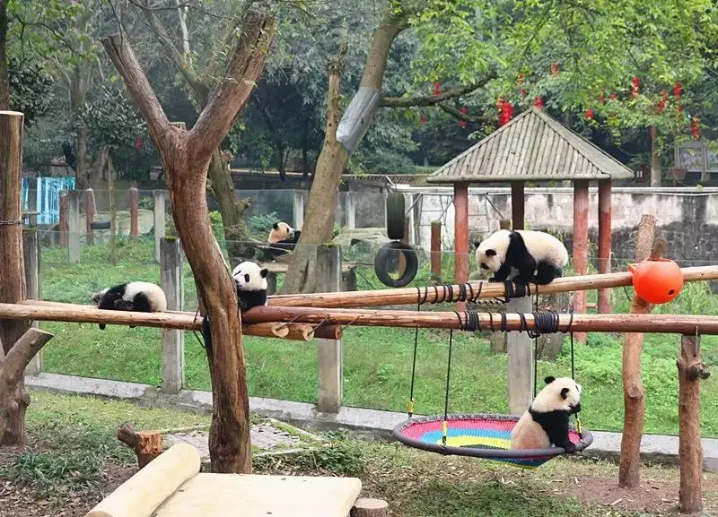 先预约，再出游！重庆主要旅游景区出行指南