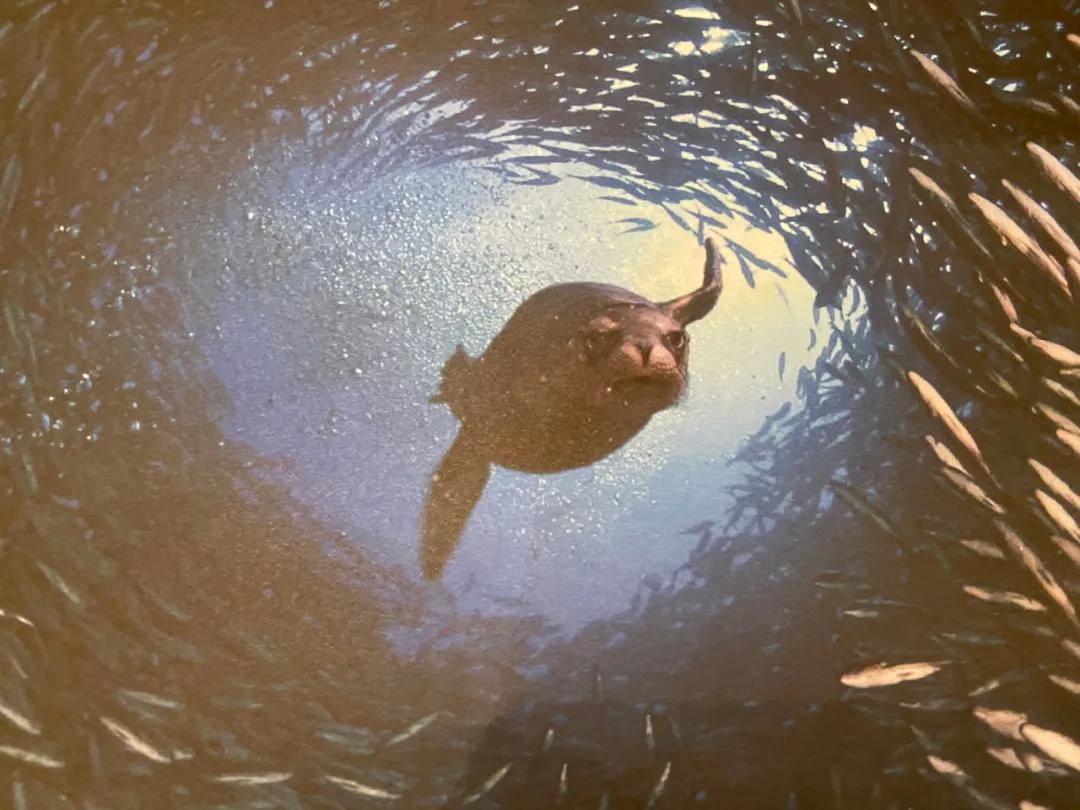 创业，可能要懂生意场上的一些基本规矩