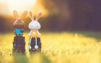 如果总觉得快乐不起来，就读读这些治愈系的文案吧