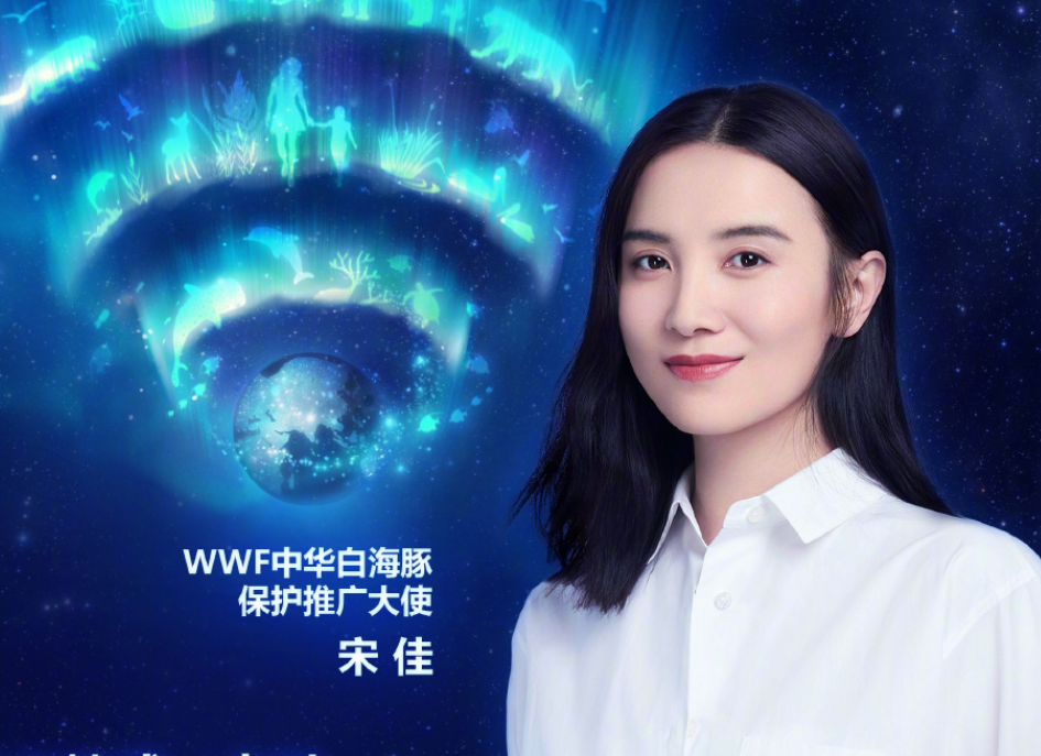 演员是高危职业的宋佳，出演新剧小舍得，李佳航蒋欣等人令人期待