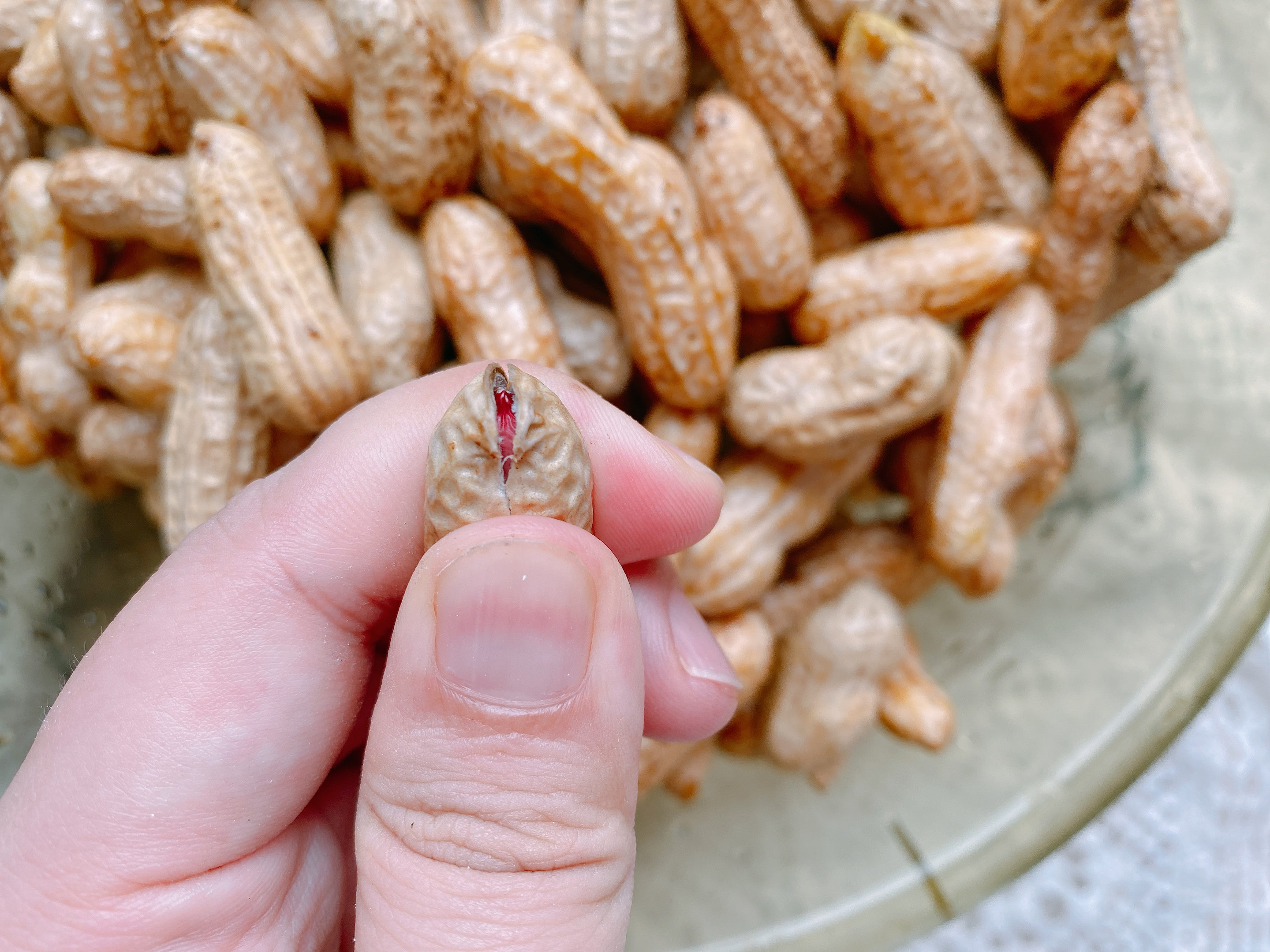 盐水花生很多人第一步就做错了，学会2点，软糯入味，省时又省事
