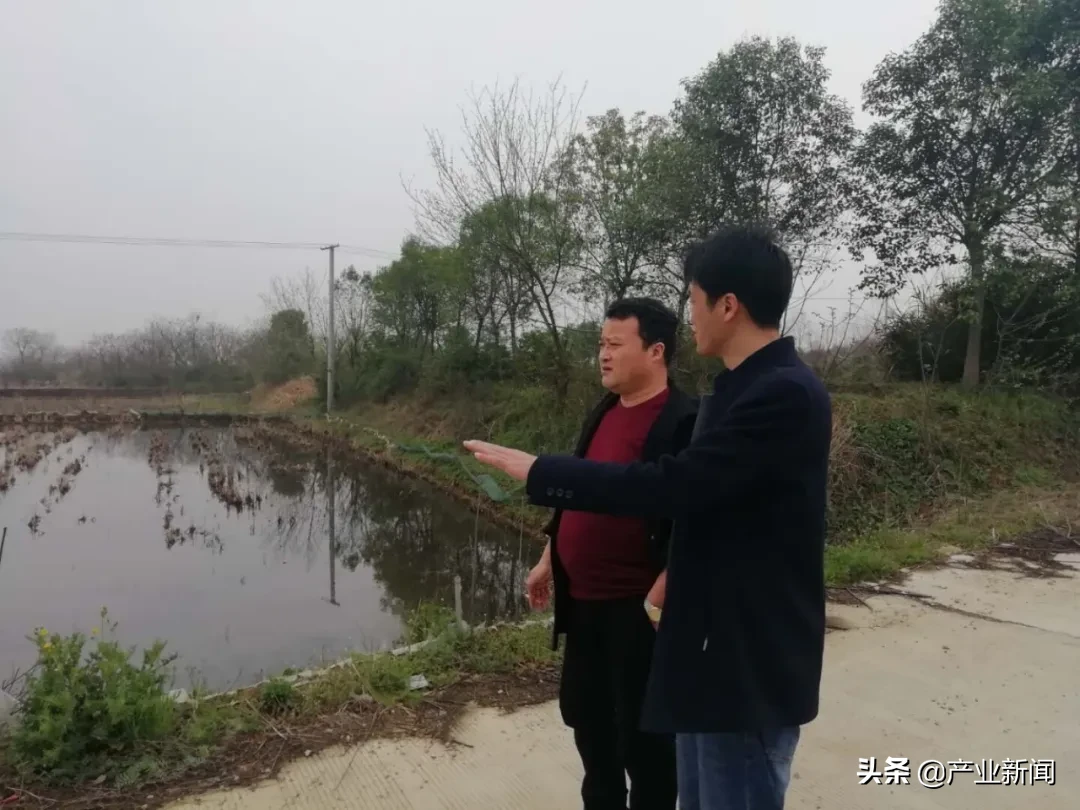 来今雨农场——一位退役海军开创的农业新天地