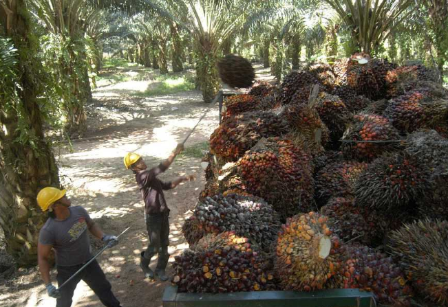 27国拒伸出援手，中国不惧外因雪中送炭，关键时