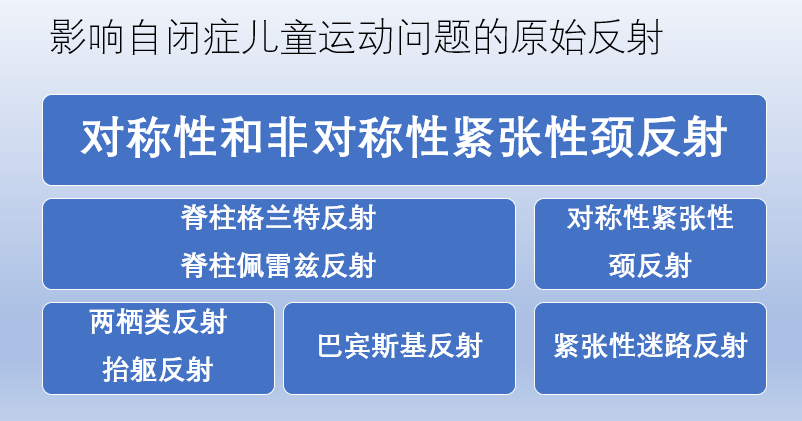 自閉症兒童多見身體不協調和運動障礙，是兩部分大腦發育不夠好