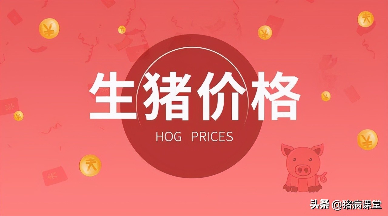 生猪今日价格｜3月2日全国生猪价格行情汇总及未来走势分析
