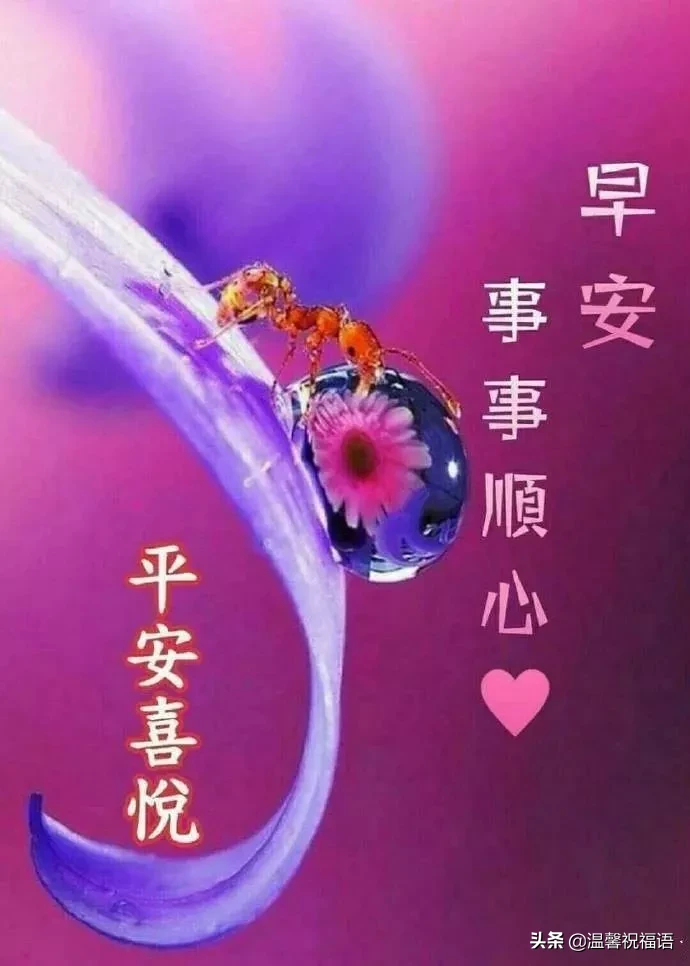 新版|正月十四新版早安问候图片鲜花带字，微信很暖心早安问候语录