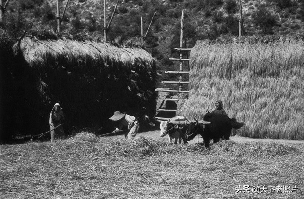1940年代甘肃临潭老照片 洮河边上临潭城乡风貌一览