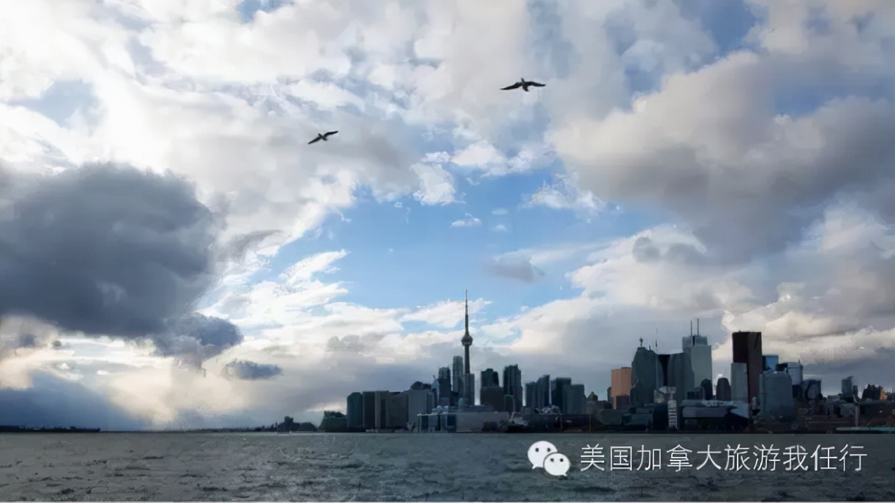 「粉丝原创」沉醉你的容颜