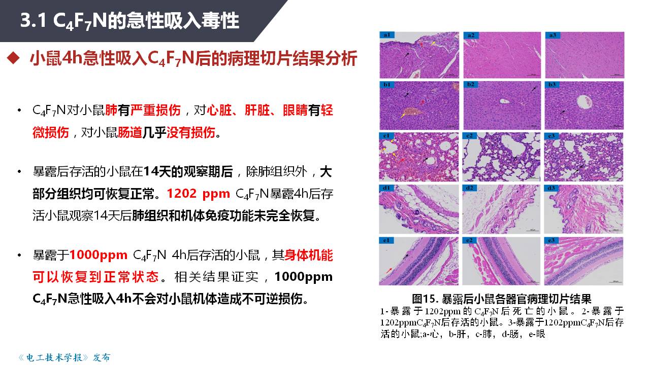 湖北工业大学张晓星教授：环保型气体绝缘介质研究进展