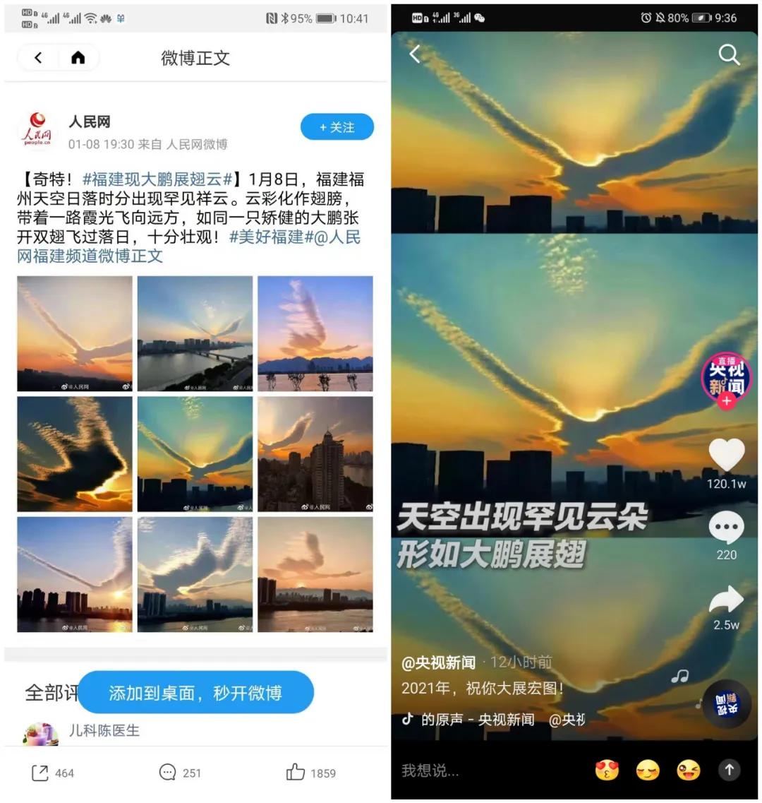 东方大鹏，鹏程万里｜欧洲杯买球网2021年再创辉煌