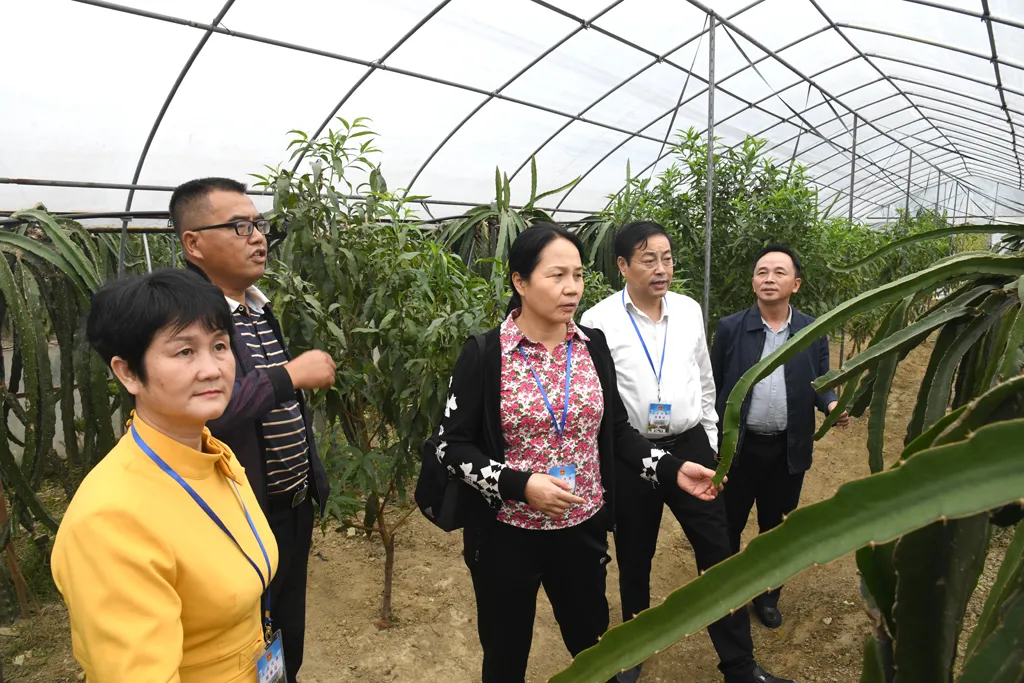 推动适度规模经营提升发展能力水平省市人大代表专题视察全市农民专业合作社建设