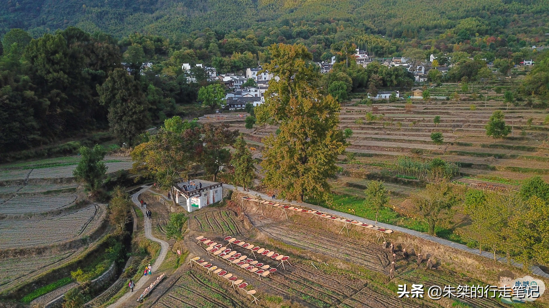 国内秋韵最浓的几个地方，有山有水有古村落，哪一处你最中意？