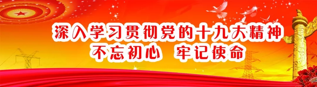 南部县中医医院党总支部选举大会顺利召开