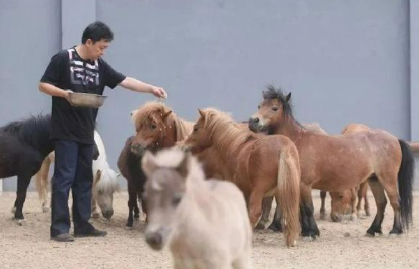 土豪于谦录节目炫富？为儿子专门养奶牛，曾养
