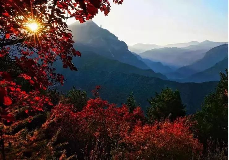 Shanxi's beautiful tourist check-in place, it becomes a paradise on earth in autumn, which is amazing