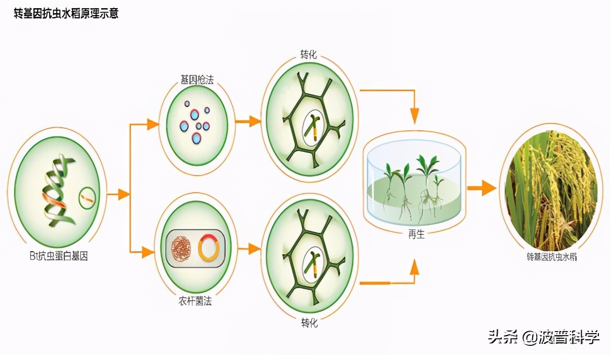 袁老最後的遺憾？荒灘變良田，真希望他活到2028年見證新成果