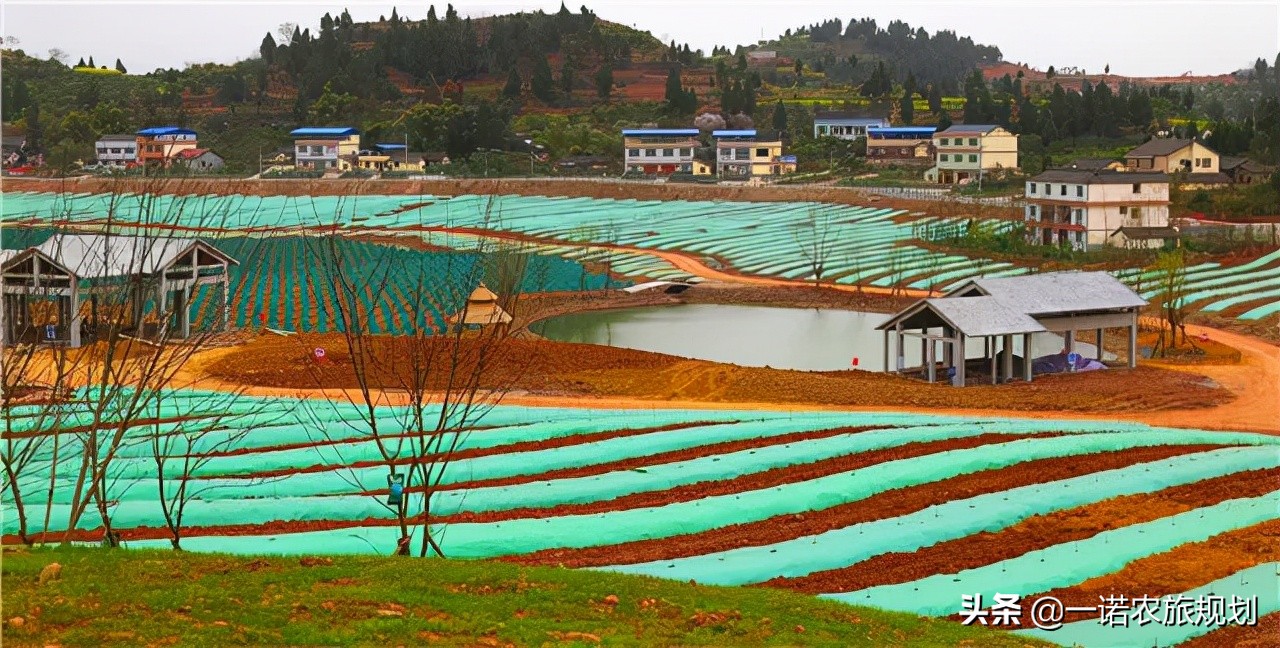 农业如何实现碳达峰、碳中和？国家划出了“硬杠杠”