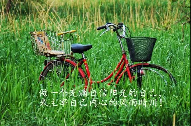关于人生感悟的句子（人生哲理的句子经典） 第5张