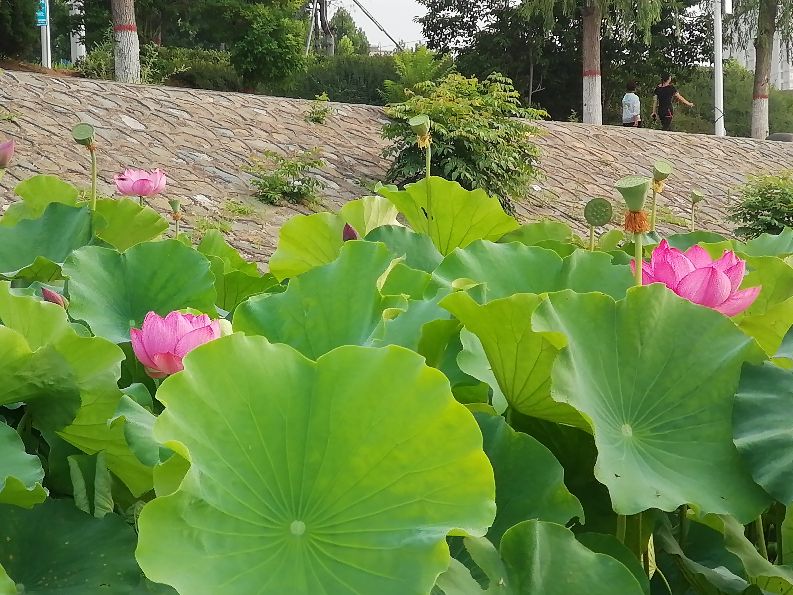 今日头条，一个第一时间传播正能量又敢于直面问题的地方