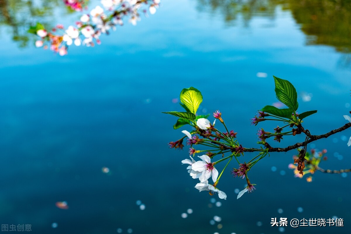 明朝大诗人高启一首经典的五绝，虽然只有短短几句，但是写得很美-第5张图片-非凡网