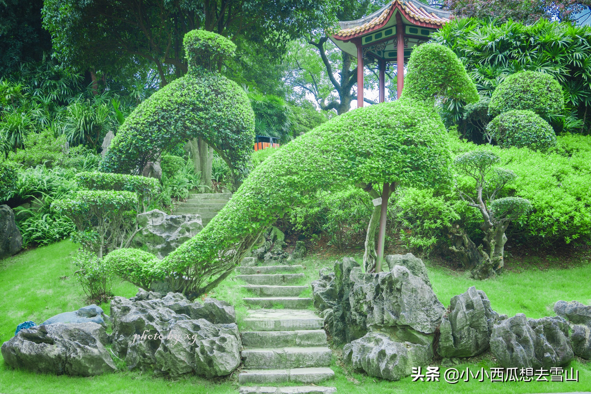 廣西唯一一個(gè)國(guó)家重點(diǎn)公園，就藏柳州，為4A級(jí)景區(qū)竟免費(fèi)對(duì)外開放