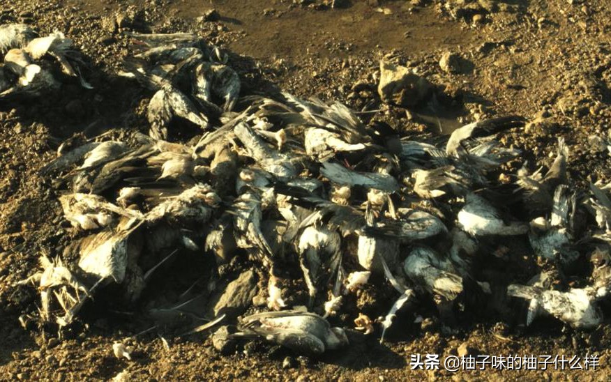 太烧脑了，看这电影绝对不能分心！