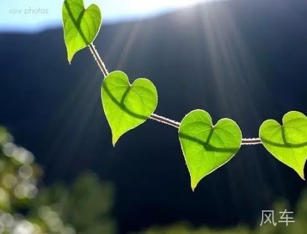 适合老百姓参与的ETF |揭开ETF的神秘面纱