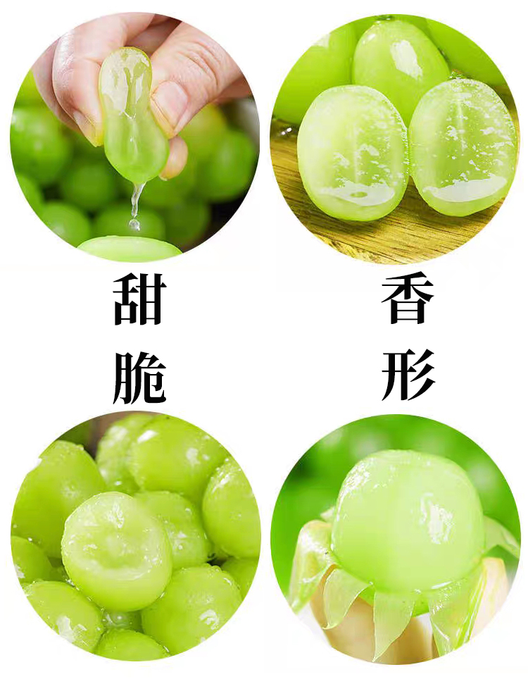 中国商品诚信数据库·吾品商城·葡萄源纪