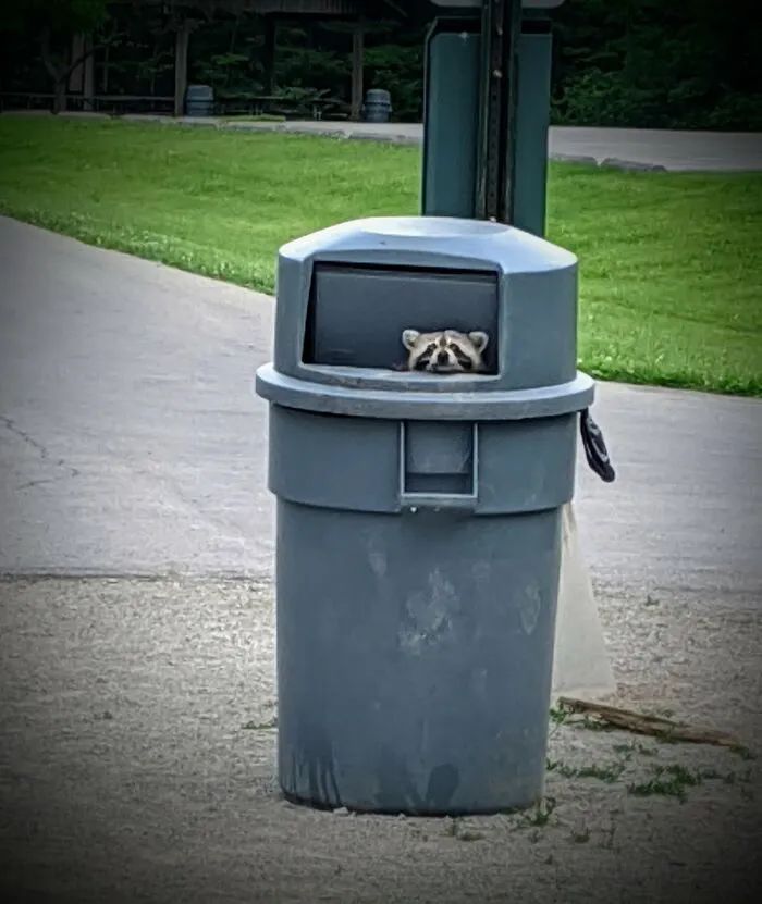 Atlas | Eider down takes the advantage that buys big drop, be clear at a glance with a ha is breathed out