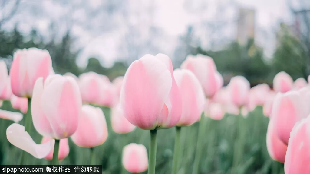 8个细节告诉你，身边的人谁最靠谱