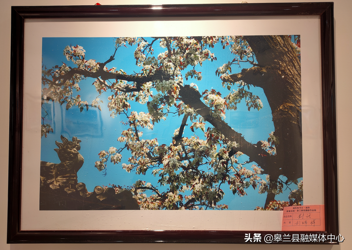 �����ؾٰ조��̩�һ��������滨����Ӱ��Ʒչ