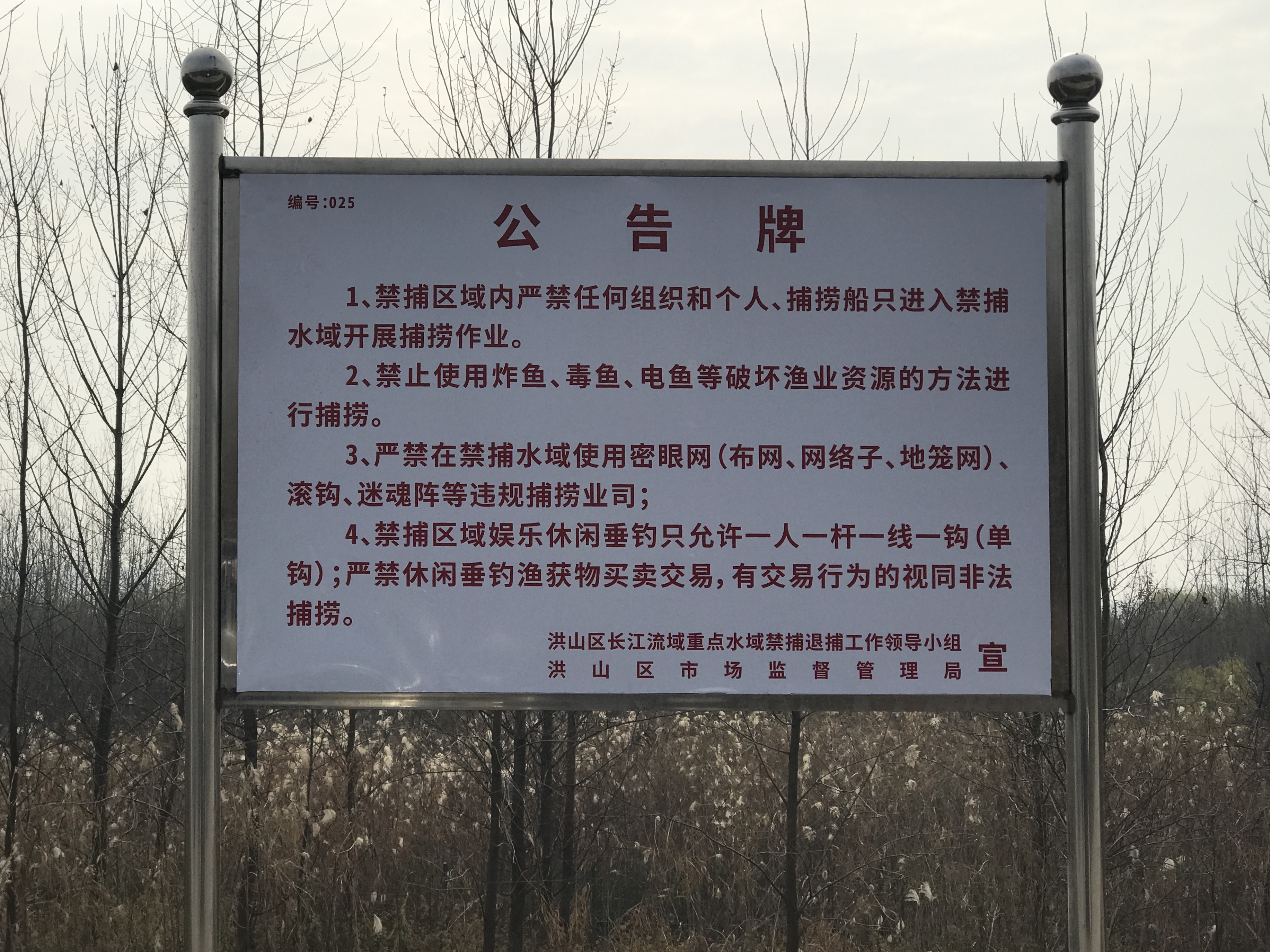 武漢市洪山區集中整治長江天興洲段非法捕撈及違規垂釣