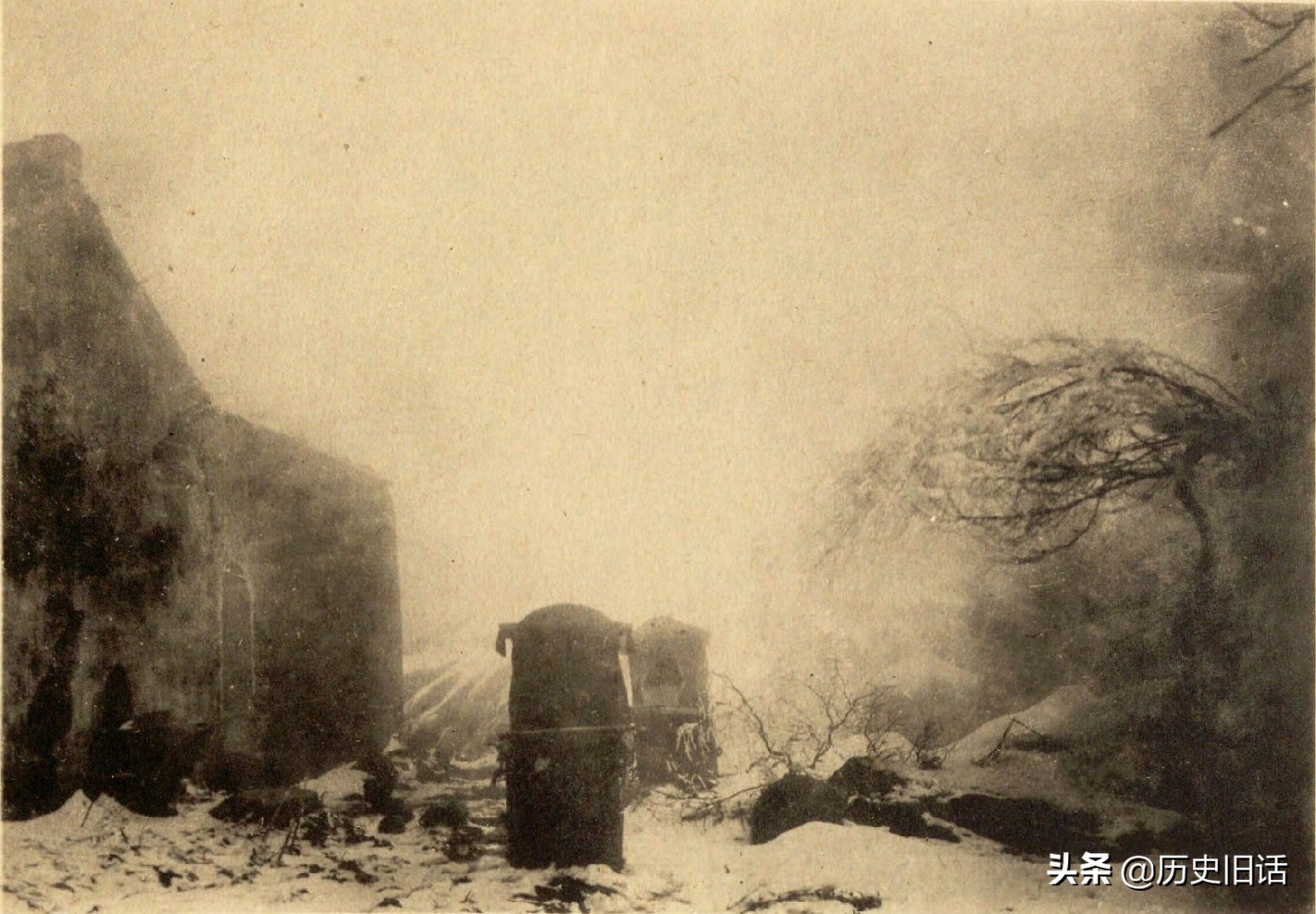 1906年茅山道观老照片，元符万宁宫与乾元观内陶弘景种植的木莲