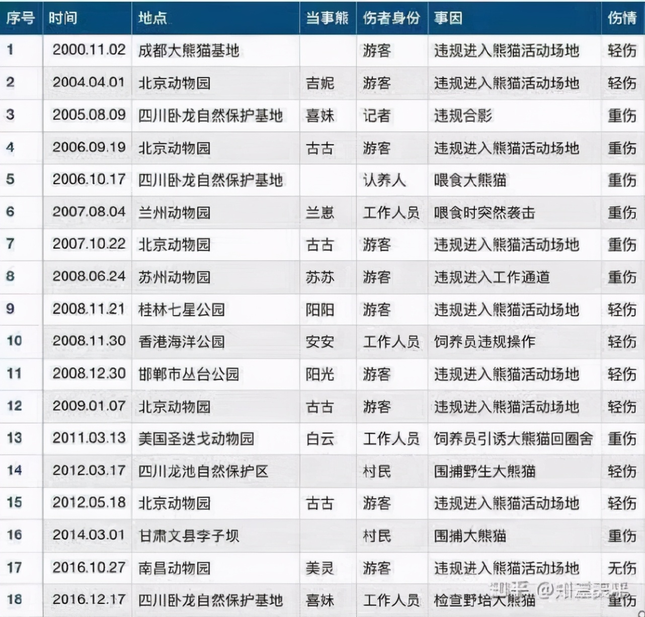 连续四次伤人！北京动物园这只熊猫火了！战斗力太强悍