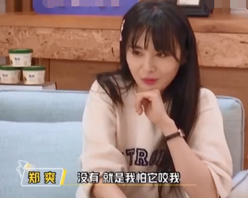 郑爽害怕狗狗咬到自己，竟然要磨平它的牙齿！